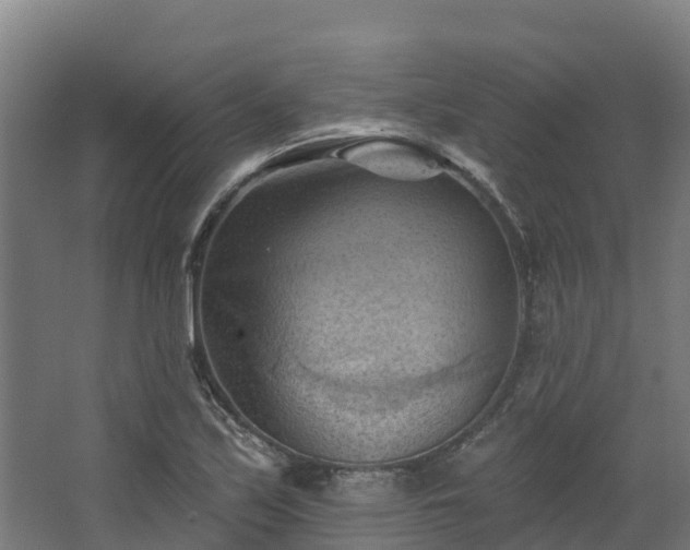 X0000068741171200605011017