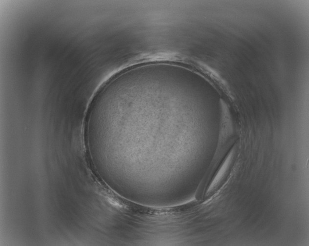 X0000068741174200605011017