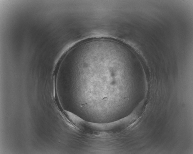 X0000068741175200605011017