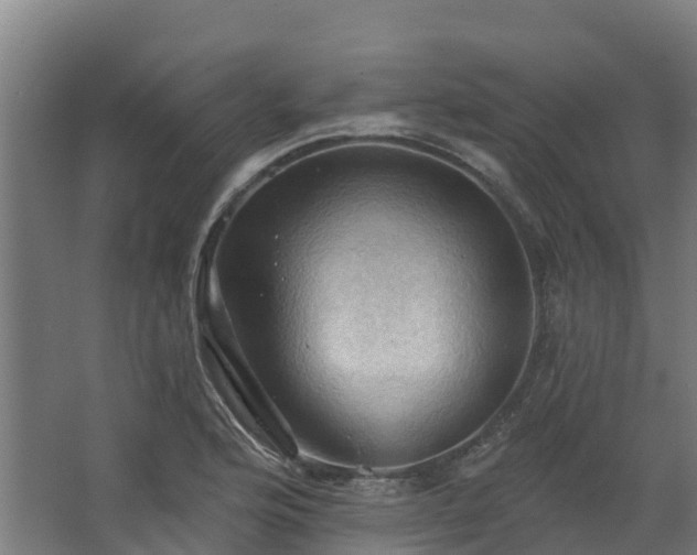 X0000068741176200605011017