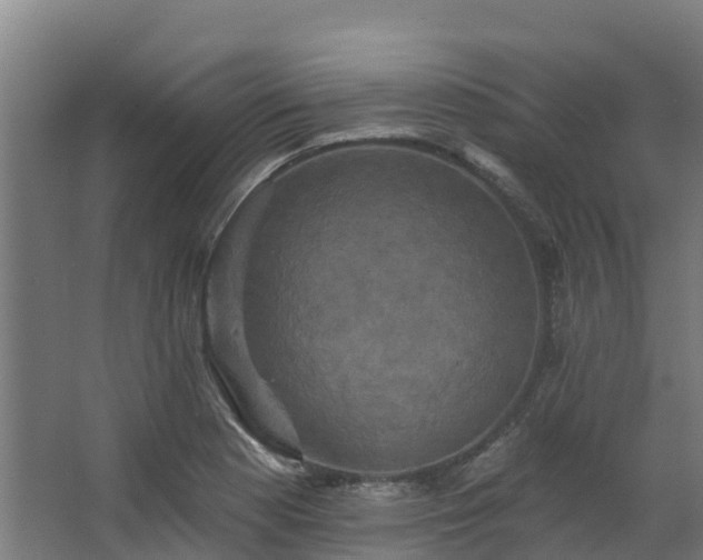 X0000068741177200605011017