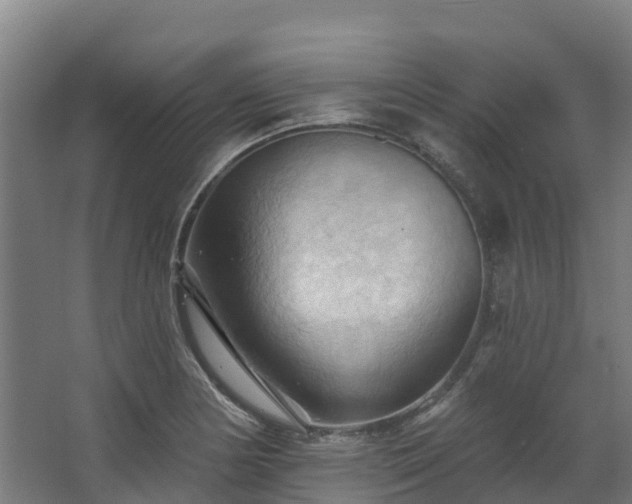 X0000068741178200605011017