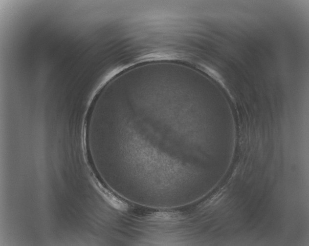 X0000068741179200605011017