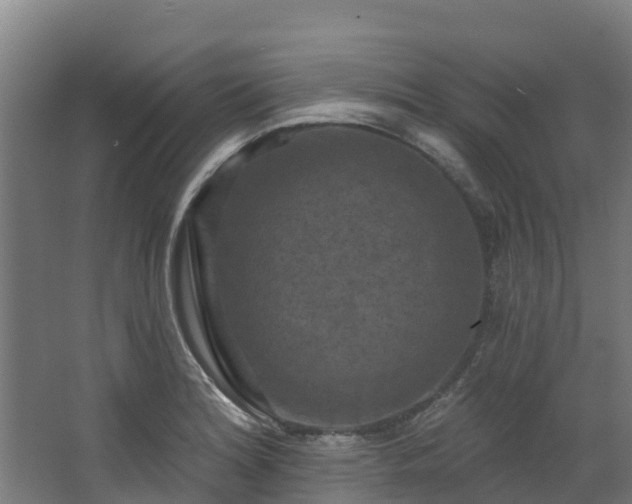 X0000068741180200605011017