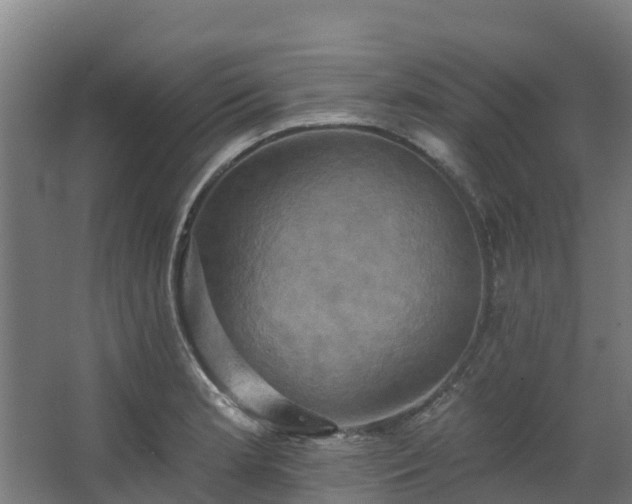 X0000068741181200605011017