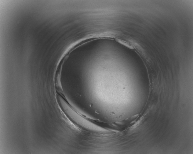 X0000068741184200605011017