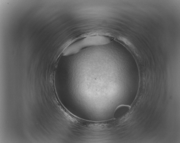 X0000068741185200605011017