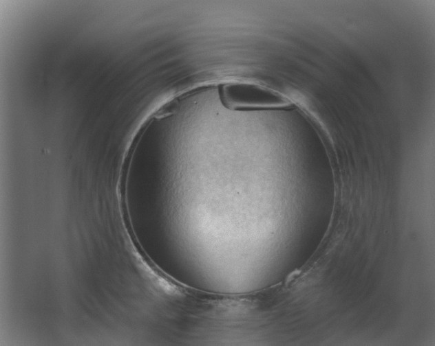 X0000068741189200605011017