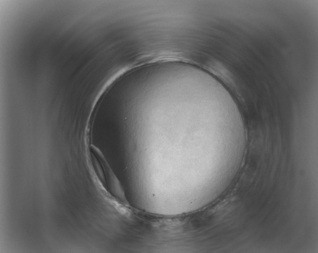 X0000068741190200605011017