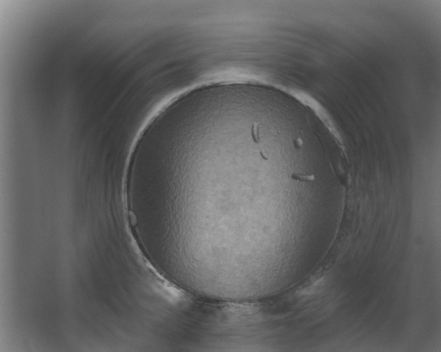 X0000068741191200605011017