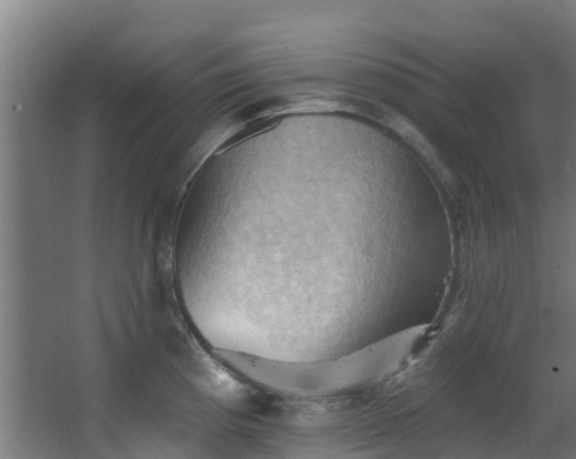 X0000068741193200605011017