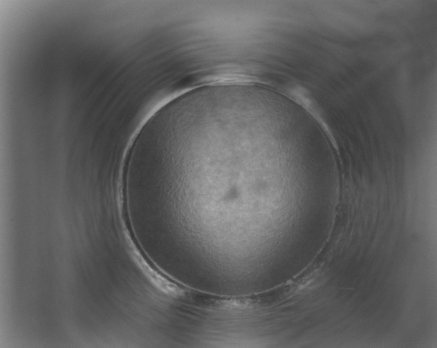 X0000068741195200605011017