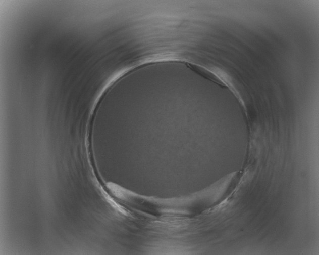 X0000068741197200605011017