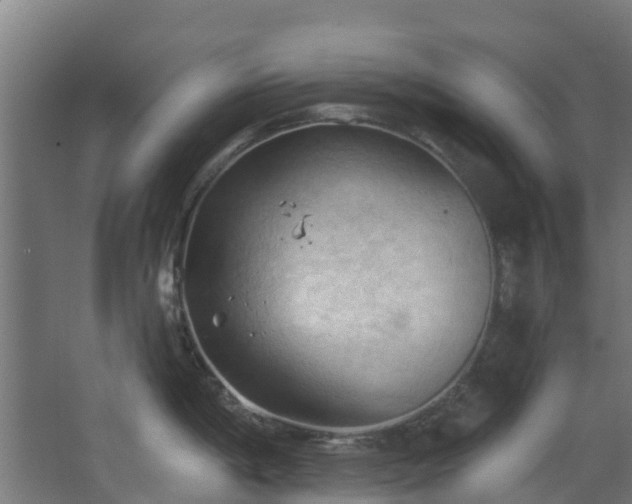 X0000068741198200605011017