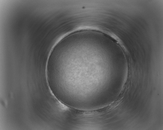 X0000068741199200605011017