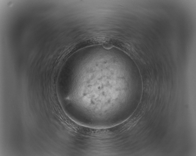 X0000068741201200605011016