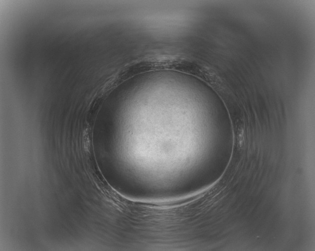 X0000068741204200605011016