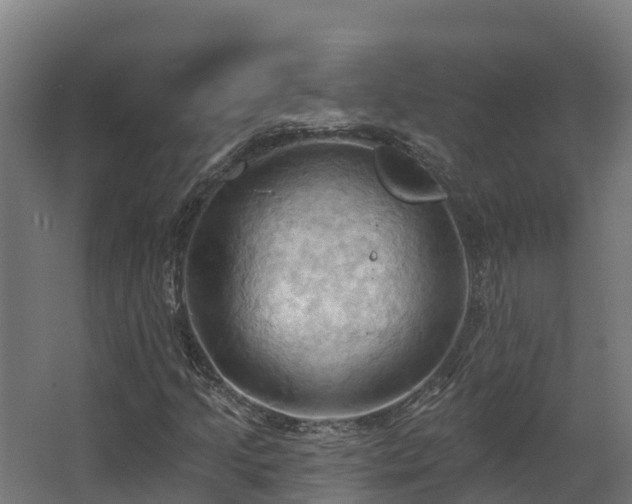 X0000068741205200605011016