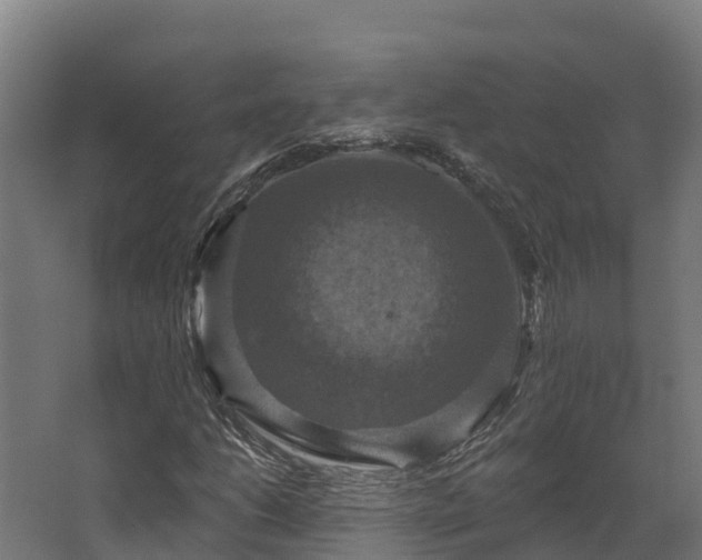 X0000068741206200605011016