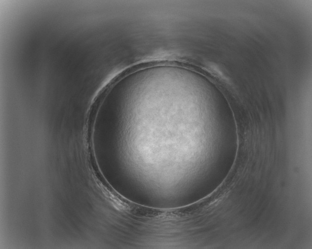 X0000068741216200605011016