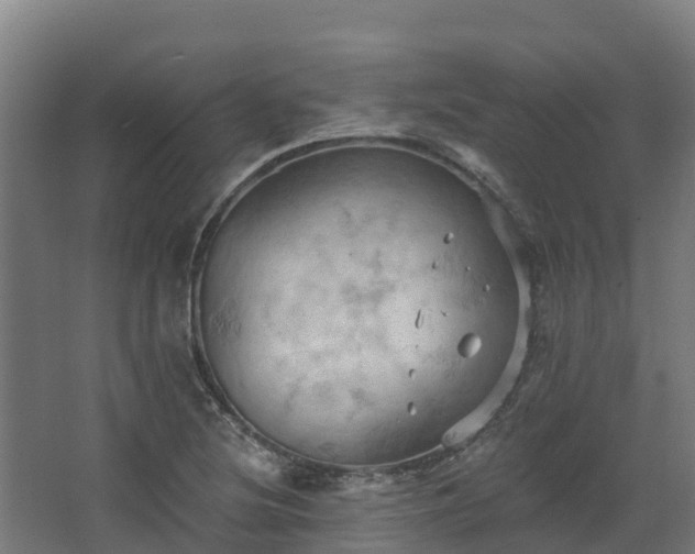 X0000068741220200605011016