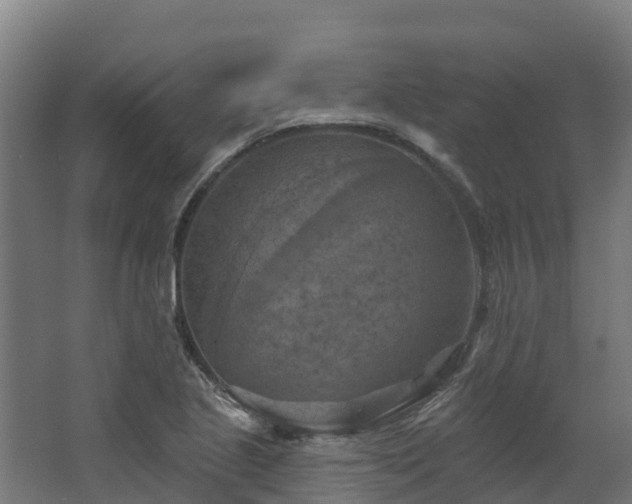 X0000068741221200605011016