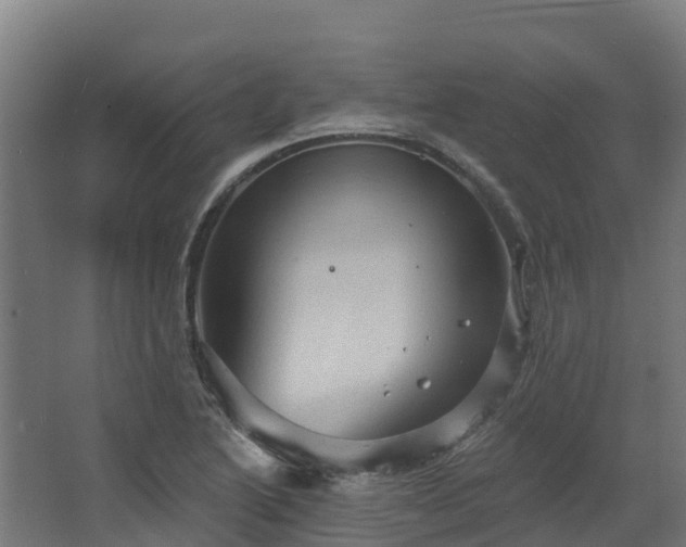 X0000068741222200605011016