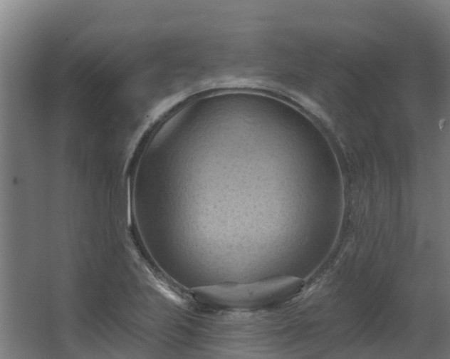 X0000068741223200605011017