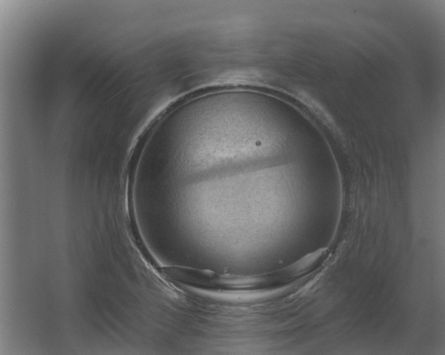 X0000068741224200605011017