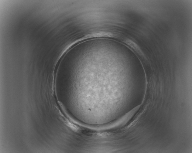 X0000068741228200605011017