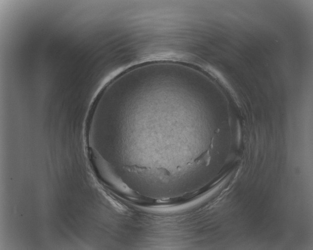 X0000068741230200605011017