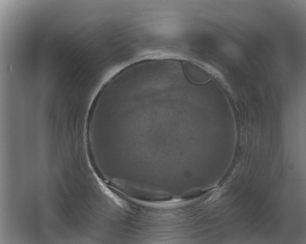 X0000068741231200605011017