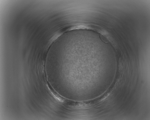 X0000068741233200605011017