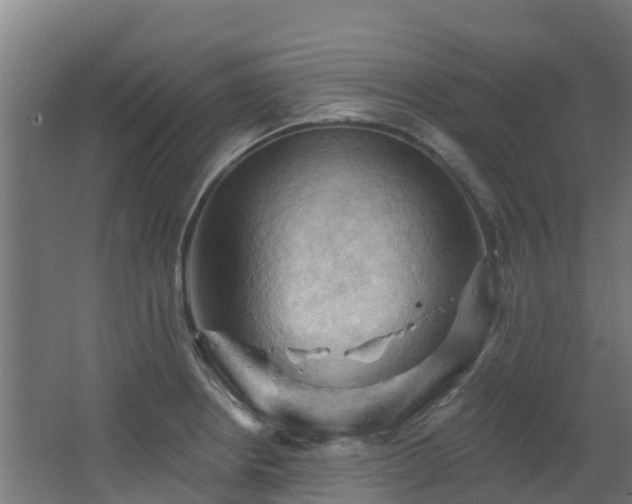 X0000068741234200605011017