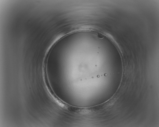 X0000068741235200605011017