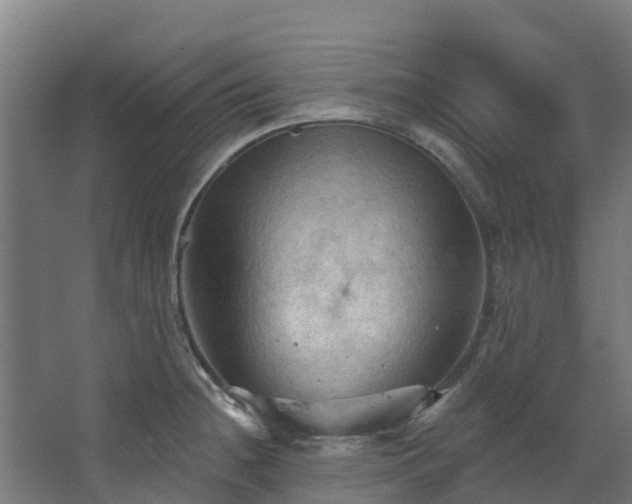 X0000068741236200605011017