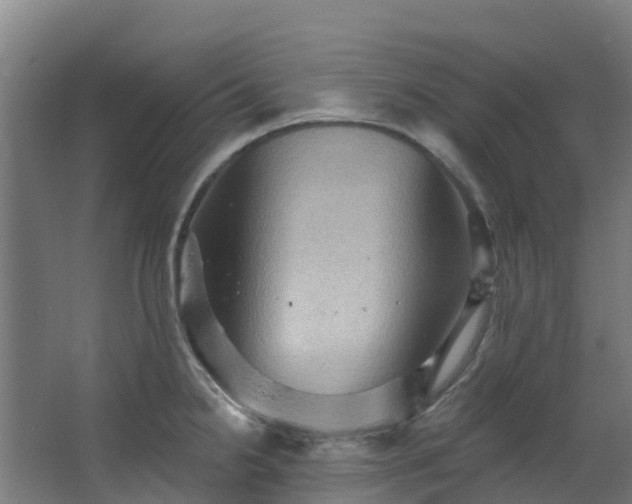 X0000068741238200605011017