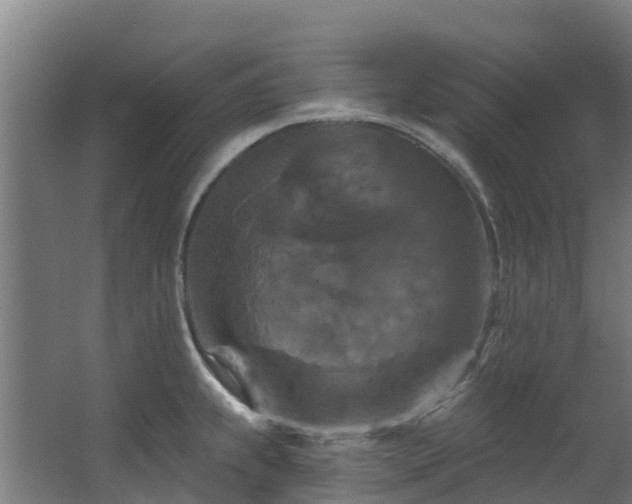 X0000068741239200605011017