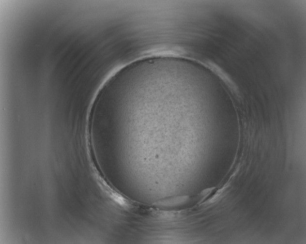 X0000068741240200605011017