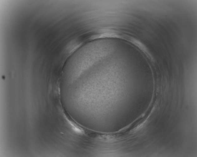 X0000068741241200605011017