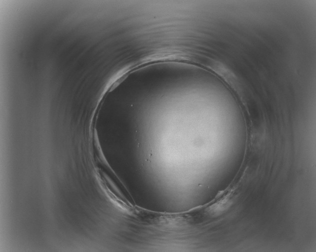 X0000068741242200605011017