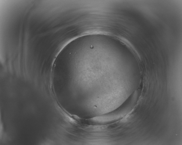 X0000068741244200605011017