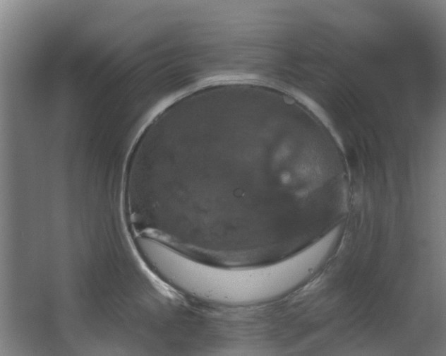 X0000068741245200605011017