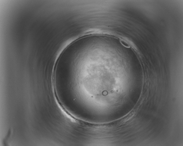 X0000068741247200605011017