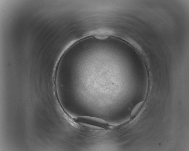 X0000068741248200605011017