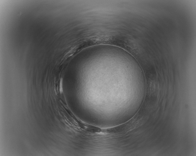 X0000068741250200605011016