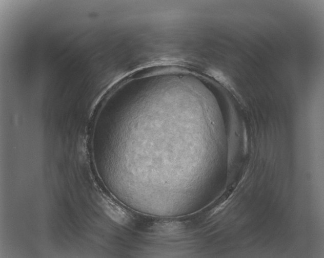 X0000068741260200605011016