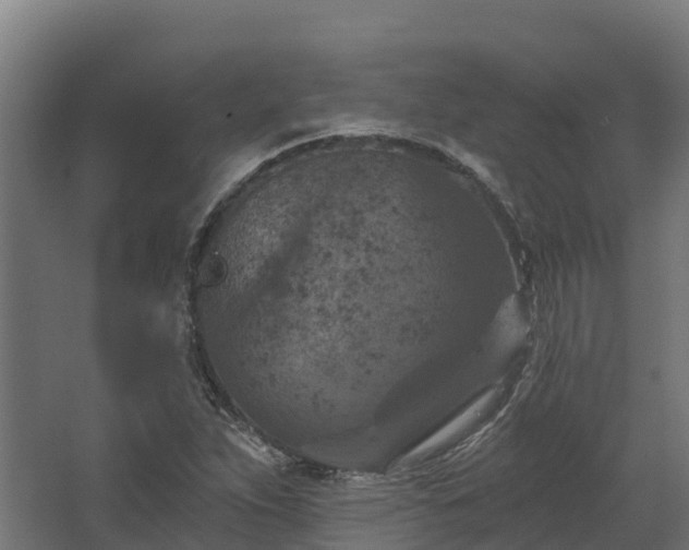 X0000068741263200605011016