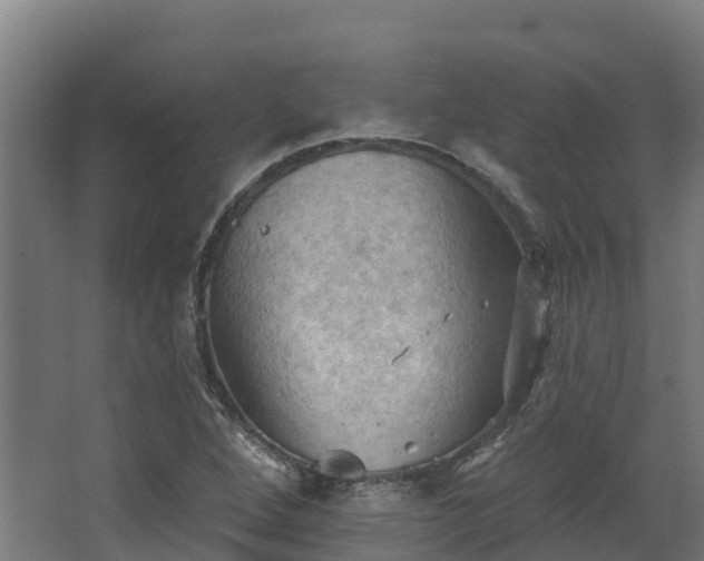 X0000068741264200605011016