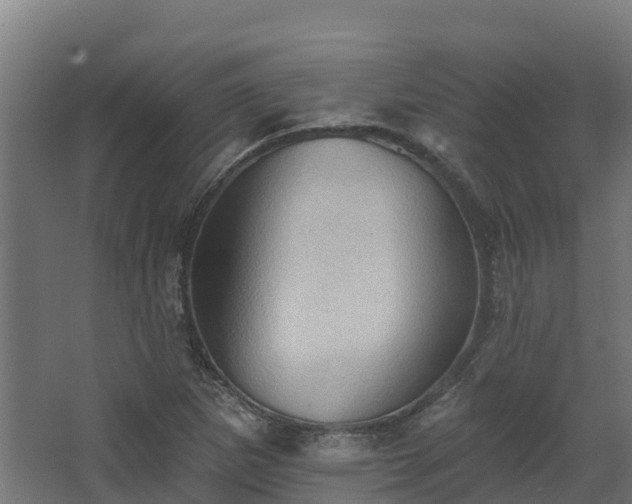 X0000068741265200605011016